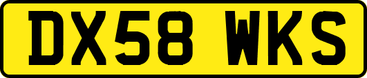 DX58WKS