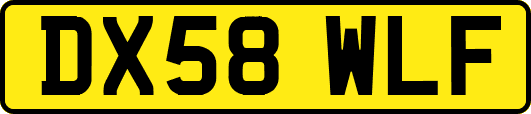 DX58WLF