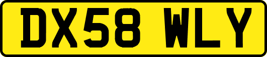 DX58WLY