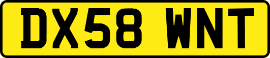 DX58WNT