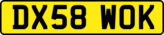 DX58WOK