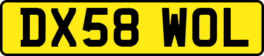 DX58WOL