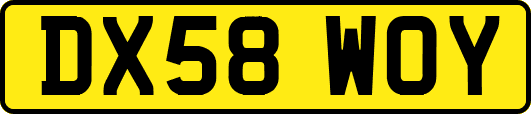 DX58WOY