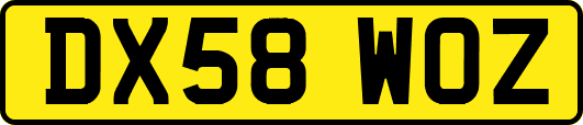 DX58WOZ