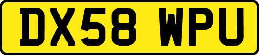 DX58WPU