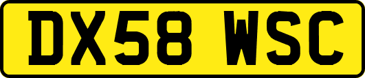 DX58WSC