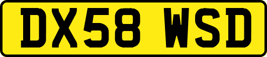 DX58WSD