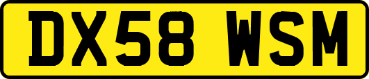 DX58WSM