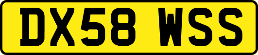 DX58WSS