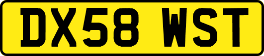 DX58WST