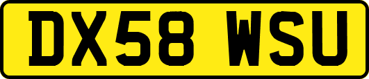 DX58WSU