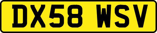 DX58WSV