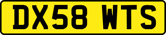 DX58WTS