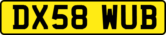 DX58WUB