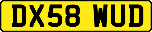 DX58WUD