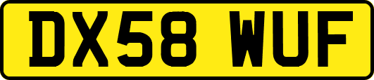DX58WUF