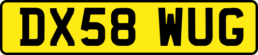 DX58WUG