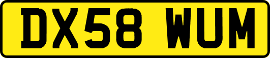 DX58WUM