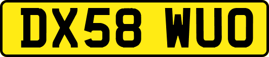DX58WUO