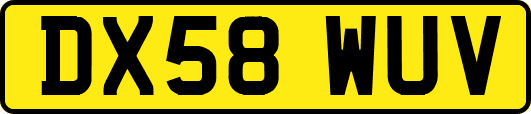 DX58WUV