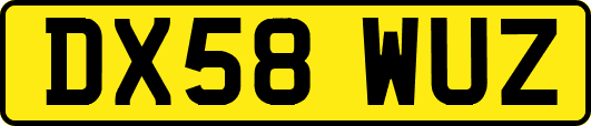 DX58WUZ