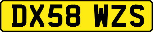 DX58WZS