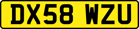 DX58WZU