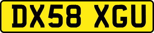 DX58XGU