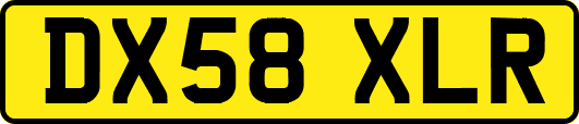 DX58XLR