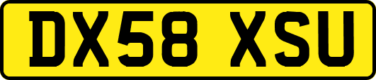 DX58XSU