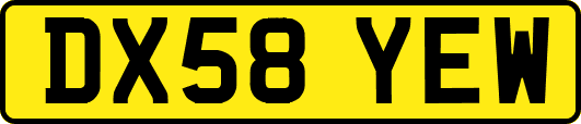 DX58YEW