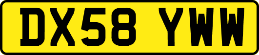 DX58YWW