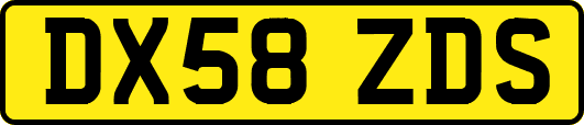 DX58ZDS