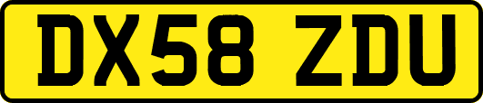 DX58ZDU
