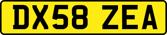 DX58ZEA