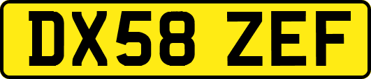 DX58ZEF