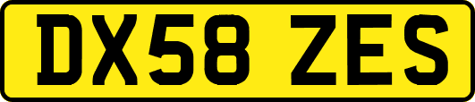 DX58ZES