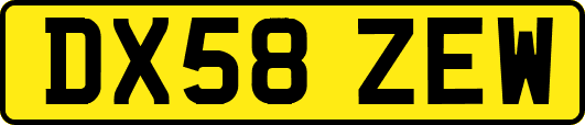 DX58ZEW