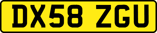 DX58ZGU