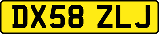 DX58ZLJ