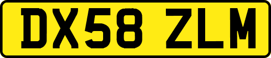 DX58ZLM