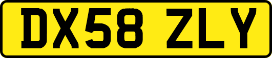 DX58ZLY