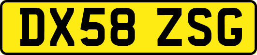 DX58ZSG