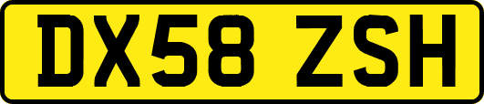 DX58ZSH