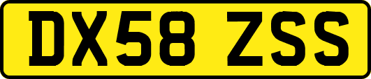 DX58ZSS