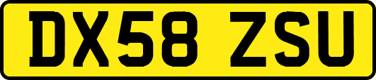 DX58ZSU