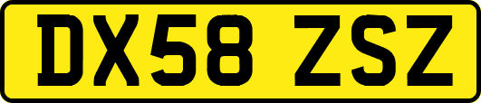 DX58ZSZ