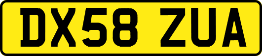 DX58ZUA