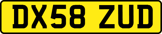 DX58ZUD