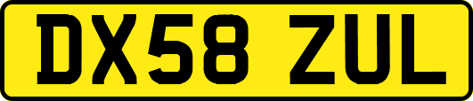 DX58ZUL